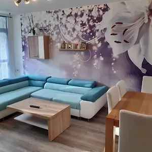  Apartmán Byt V Blízkosti Centra Karlových Varů